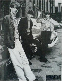 фотография Orange Juice