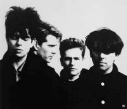 фотография echo and the bunnymen