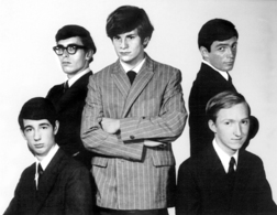 фотография The Box Tops