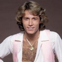 фотография Andy Gibb