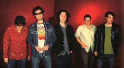 фотография Honeydogs