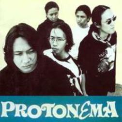 фотография Protonema