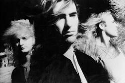 фотография New Model Army