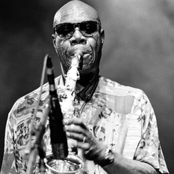 фотография manu dibango