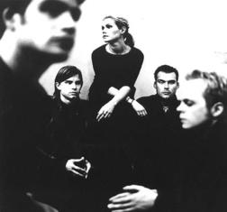фотография Cardigans