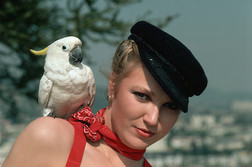 фотография Tanya Tucker