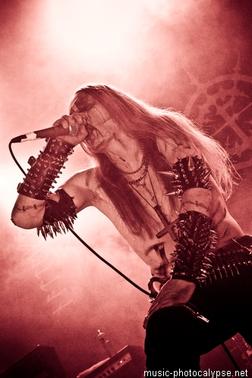 фотография Carpathian forest