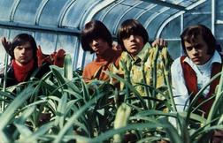 фотография Seeds, The