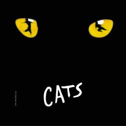 фотография Cats